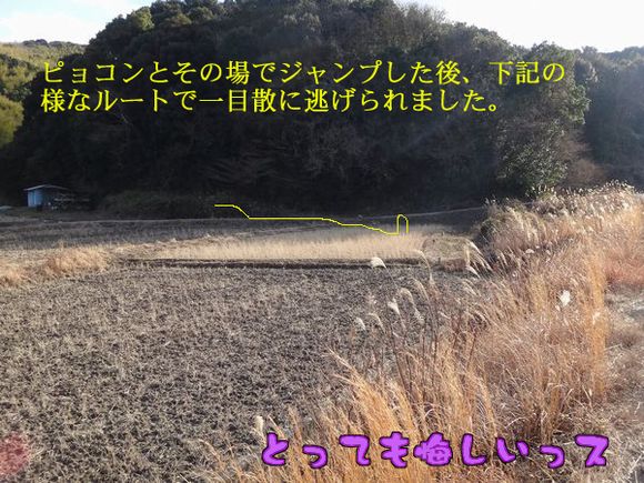 イメージ 8
