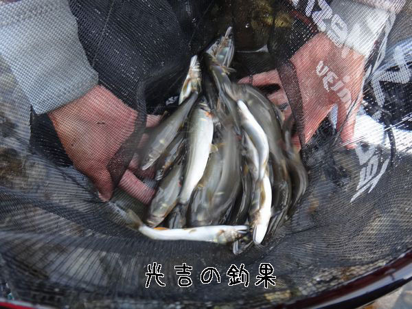 イメージ 5