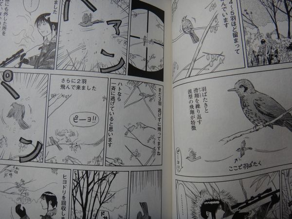 イメージ 6