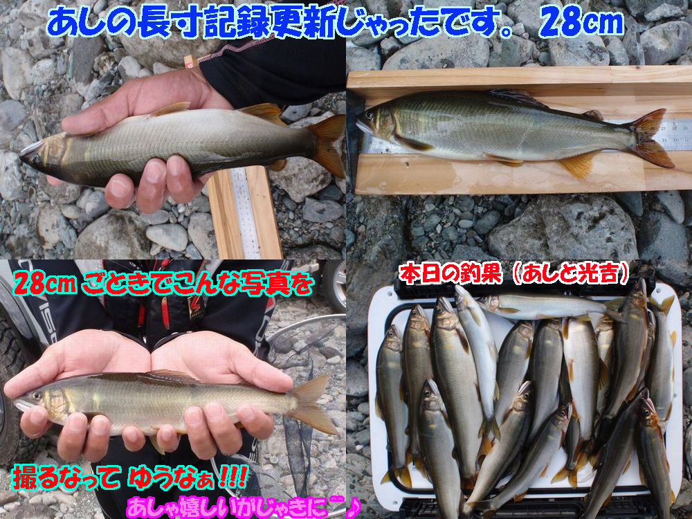イメージ 2