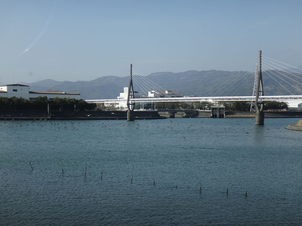 イメージ 17