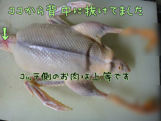 イメージ 8