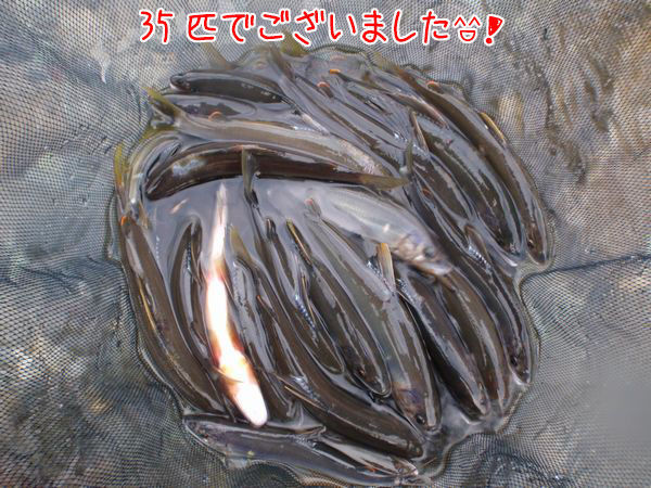 イメージ 4