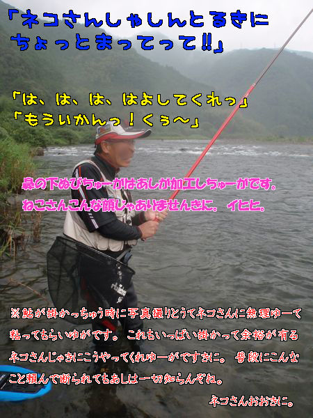 イメージ 6