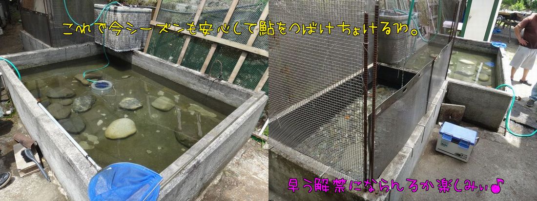 イメージ 3