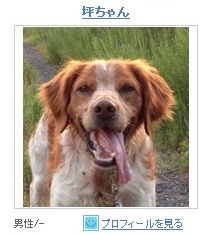 イメージ 30