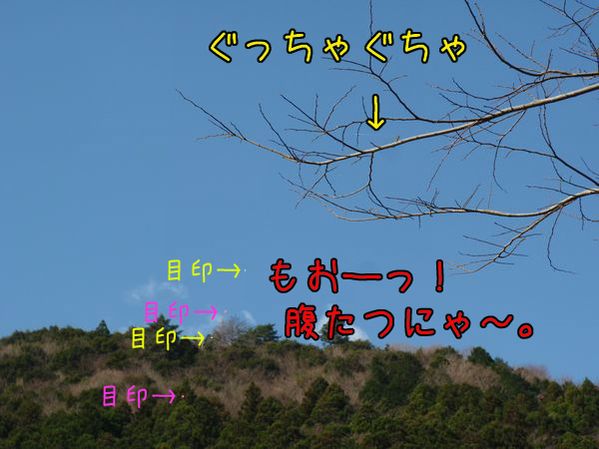 イメージ 2