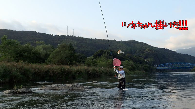 イメージ 17