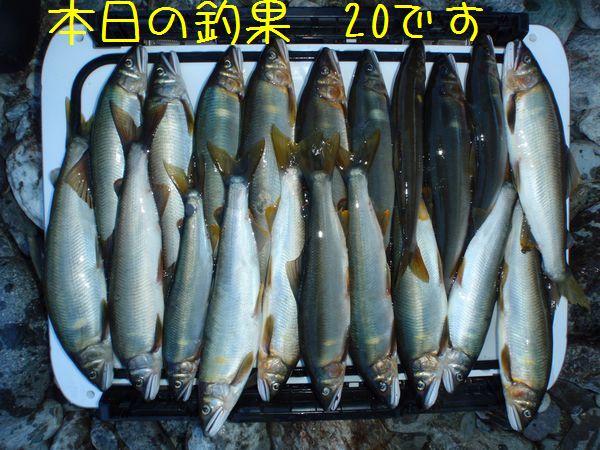 イメージ 2