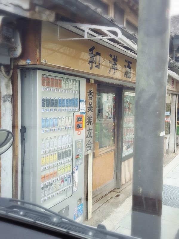 イメージ 1