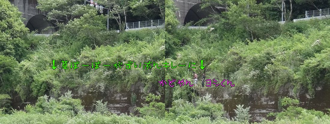 イメージ 10