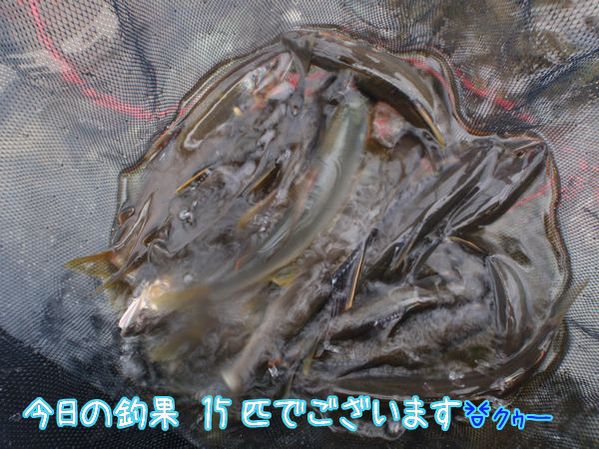 イメージ 3
