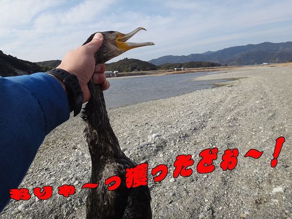 イメージ 3