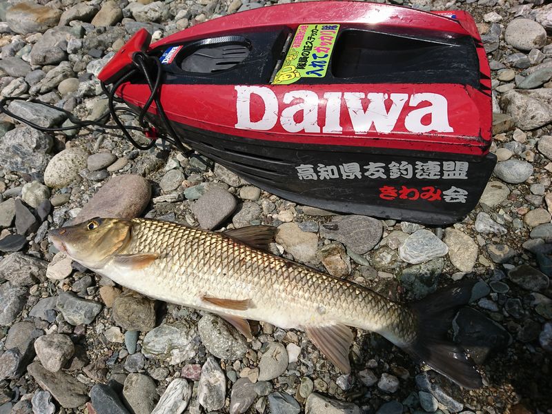 イメージ 11