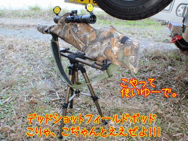 イメージ 6