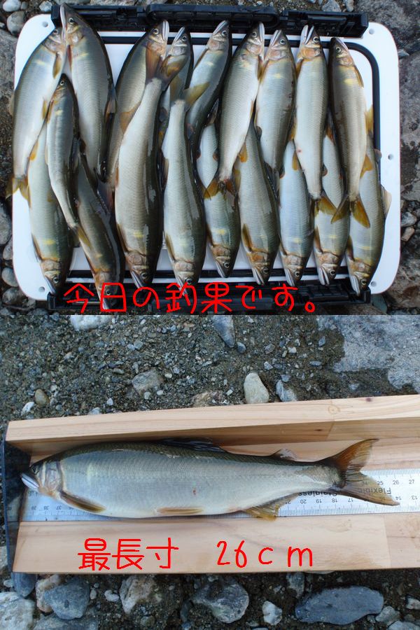 イメージ 5