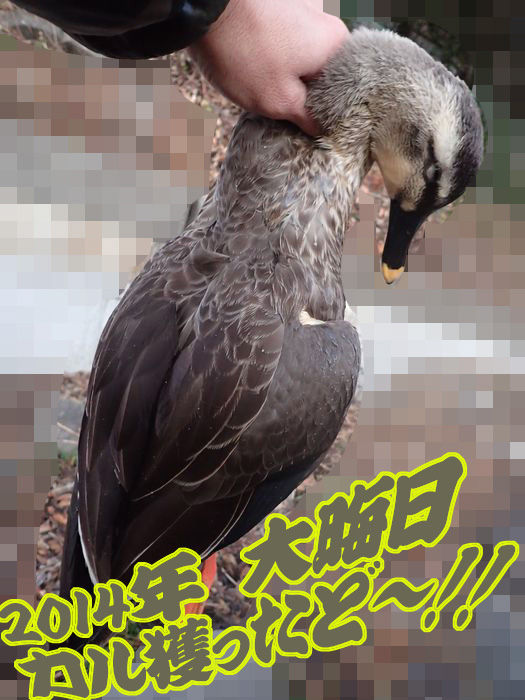 イメージ 3