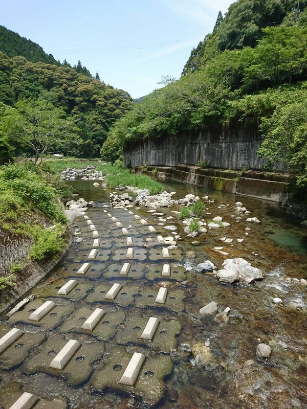 イメージ 7
