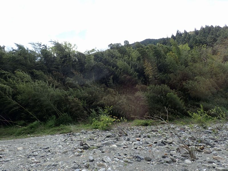 イメージ 13