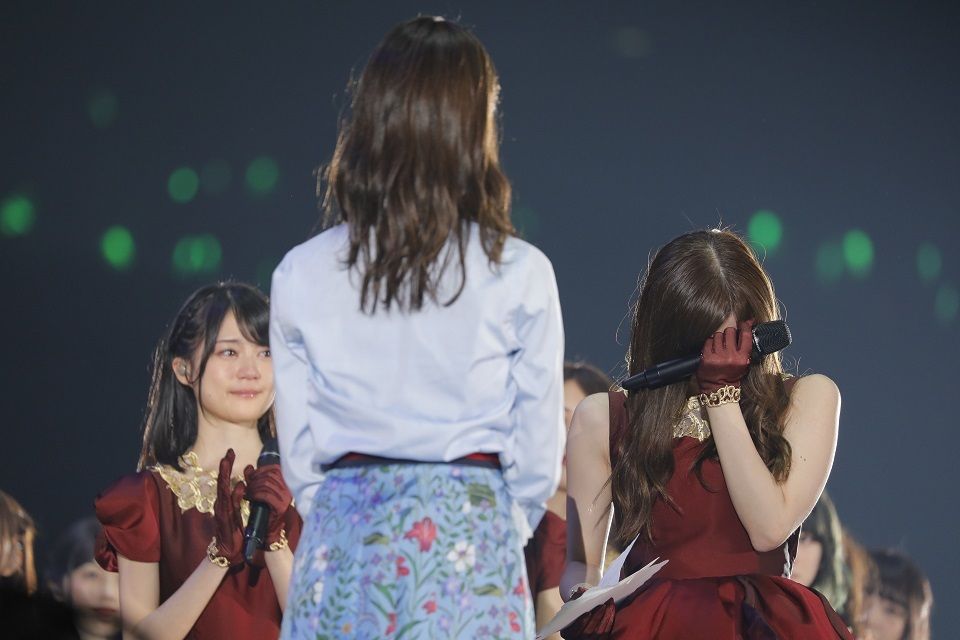 イメージ 5
