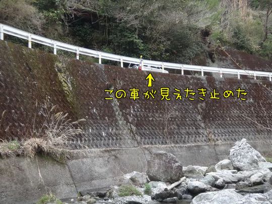 イメージ 6
