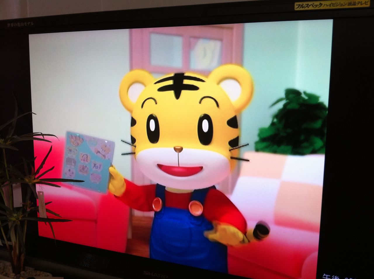 希少 大人気 こどもちゃれんじ しまじろう 中国語 ベネッセ Dvd 中国語版 巧虎 最安値に挑戦