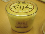 purin2