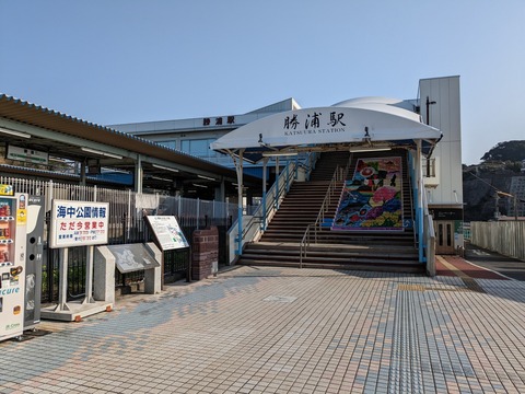 PXL_20230308_233840530