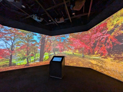 PXL_20260804_031028234