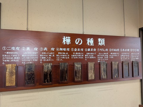 PXL_20260302_021741730