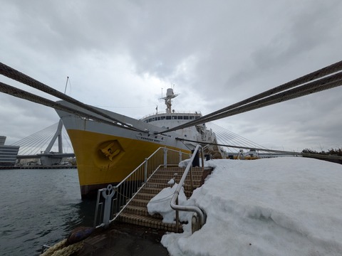 PXL_20260303_033835929