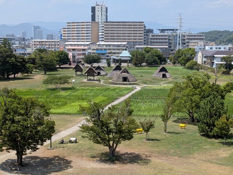 PXL_20250805_034439753