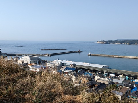 PXL_20230309_000010782