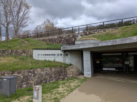 PXL_20260331_034014287