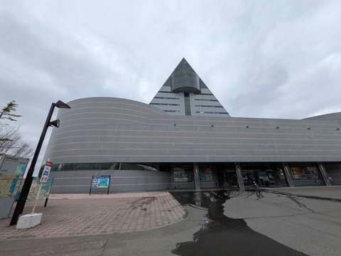 PXL_20260303_044225724