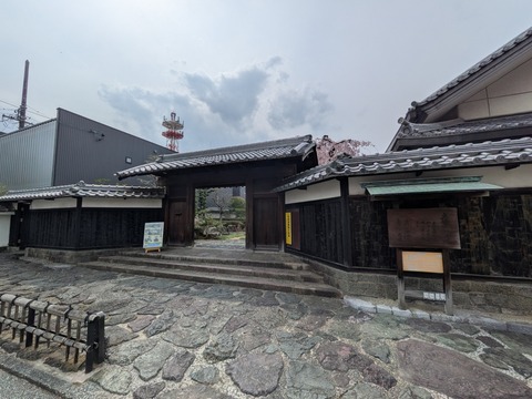 PXL_20260330_043955753