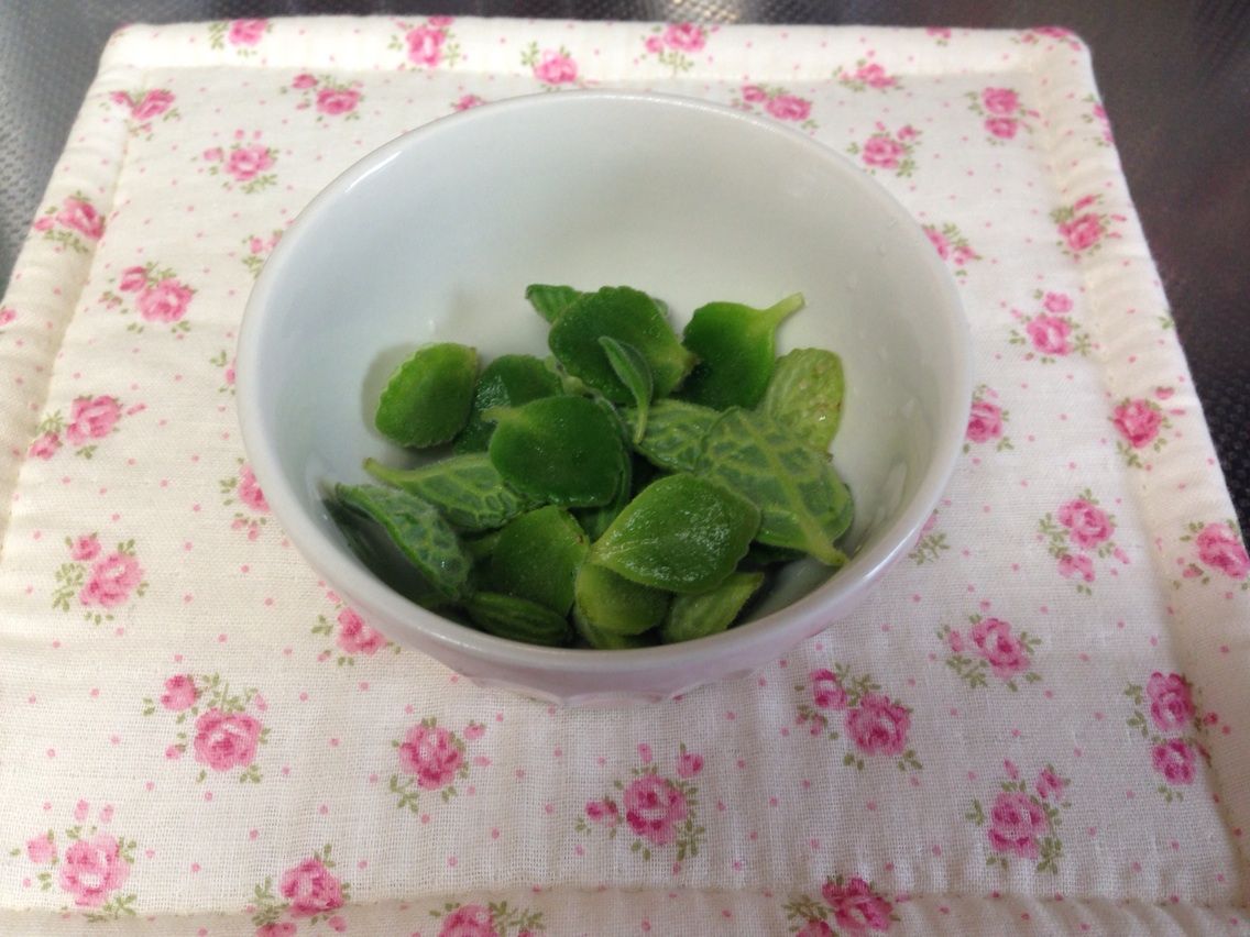 アロマティカスでハーブティー ごんたの毎日が夏休み アロマティカスでハーブティー ごんたの毎日が夏休み