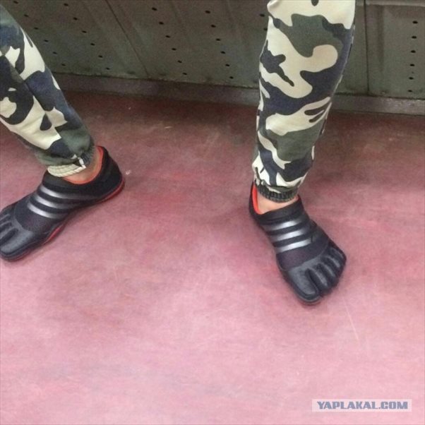 19.jpg