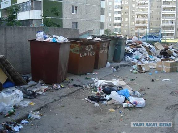 07.jpg