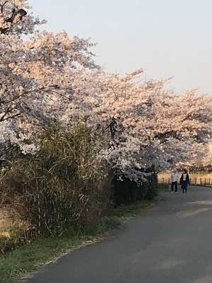 小山乗馬クラブ大沼 Gontaman 1202のblog