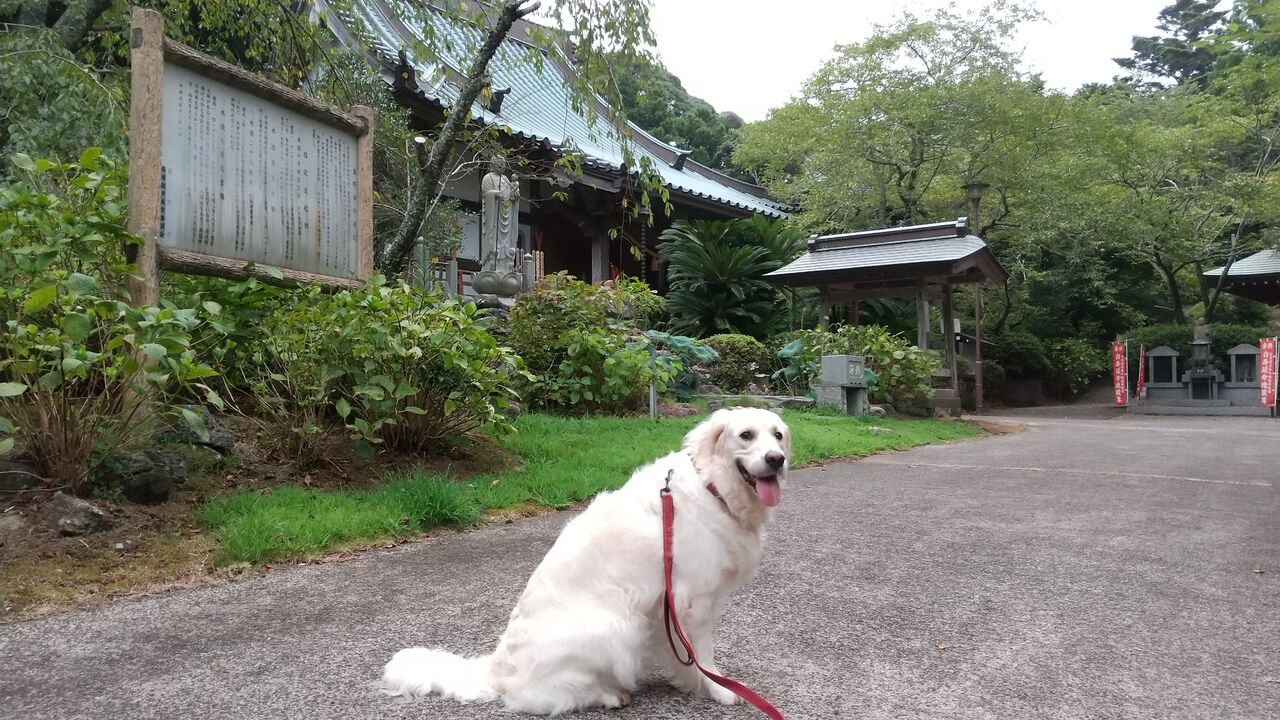 真野寺