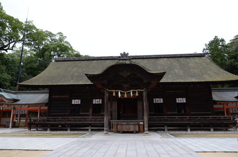 DS7_0487