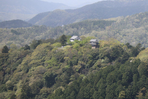 sIMG_0704