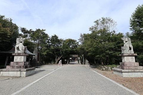 sIMG_3534
