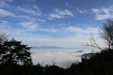 sIMG_3520