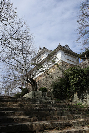 sIMG_3576