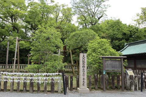 sIMG_2760