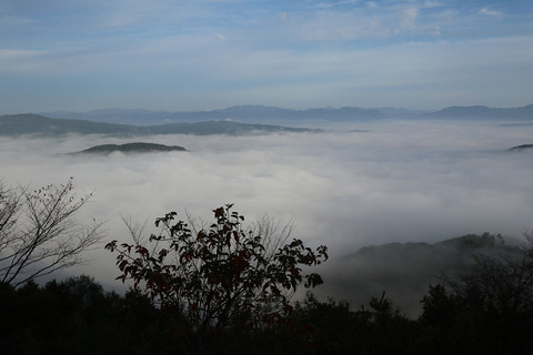 sIMG_3516