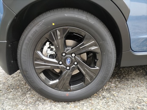 CENTER_0001_BURST20230317135833808_COVER