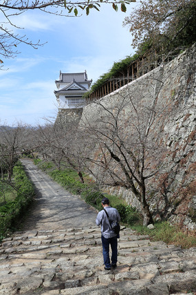 sIMG_3581